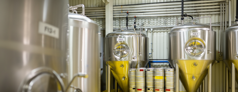 Del Grano al Vaso: El Proceso de Elaboración